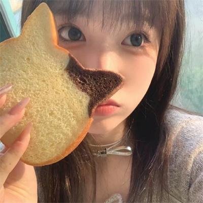 历史的总和