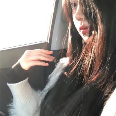 铁胆游龙