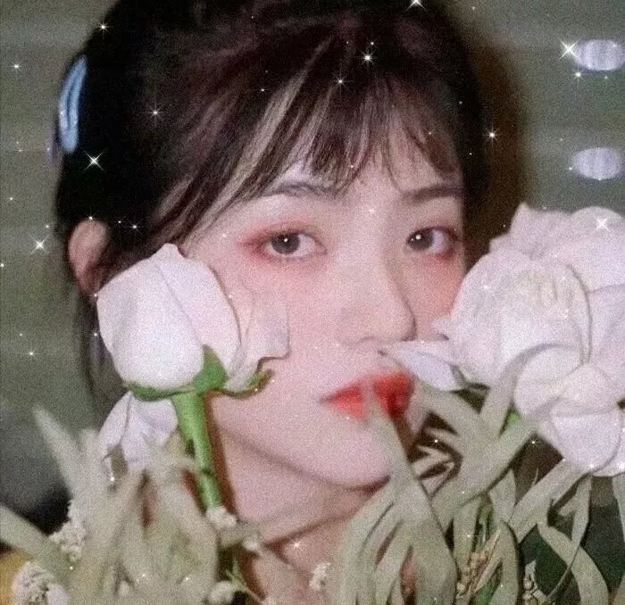 我的爆气女友
